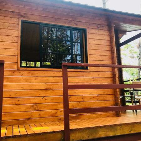 Отель Casa De Arbol, Rancho Tierra Alta Харабакоа Экстерьер фото