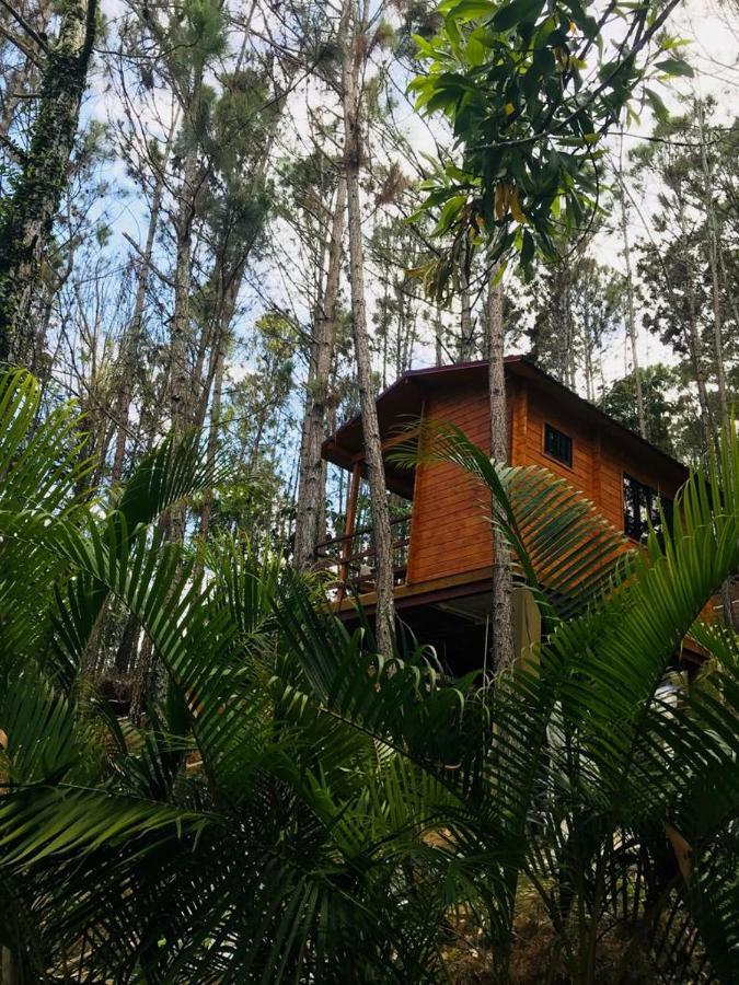 Отель Casa De Arbol, Rancho Tierra Alta Харабакоа Экстерьер фото