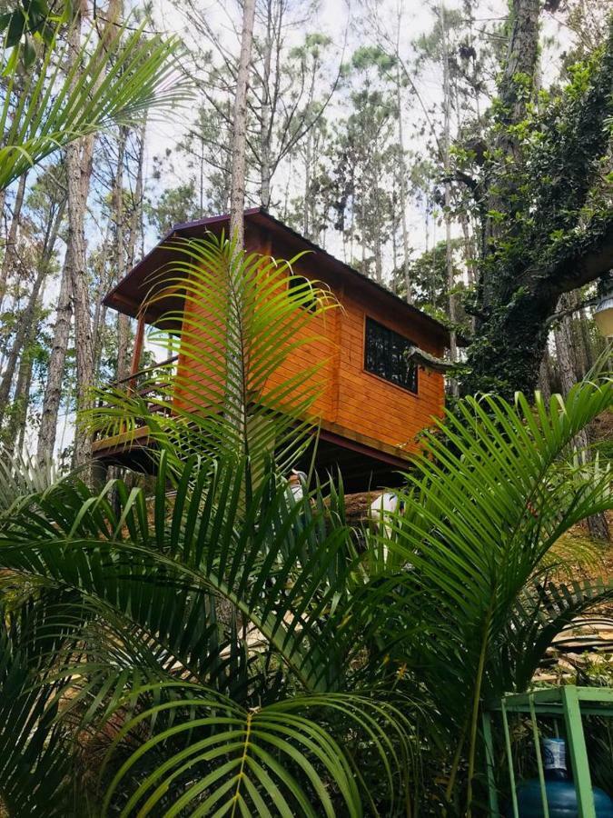Отель Casa De Arbol, Rancho Tierra Alta Харабакоа Экстерьер фото